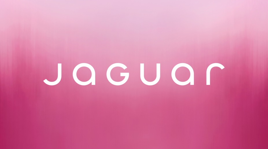 Ребрендинг Jaguar вызвал глобальный переполох